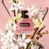 Picture of Born in Roma Donna Perfume Gift Set